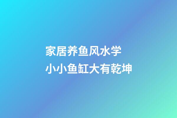 家居养鱼风水学 小小鱼缸大有乾坤